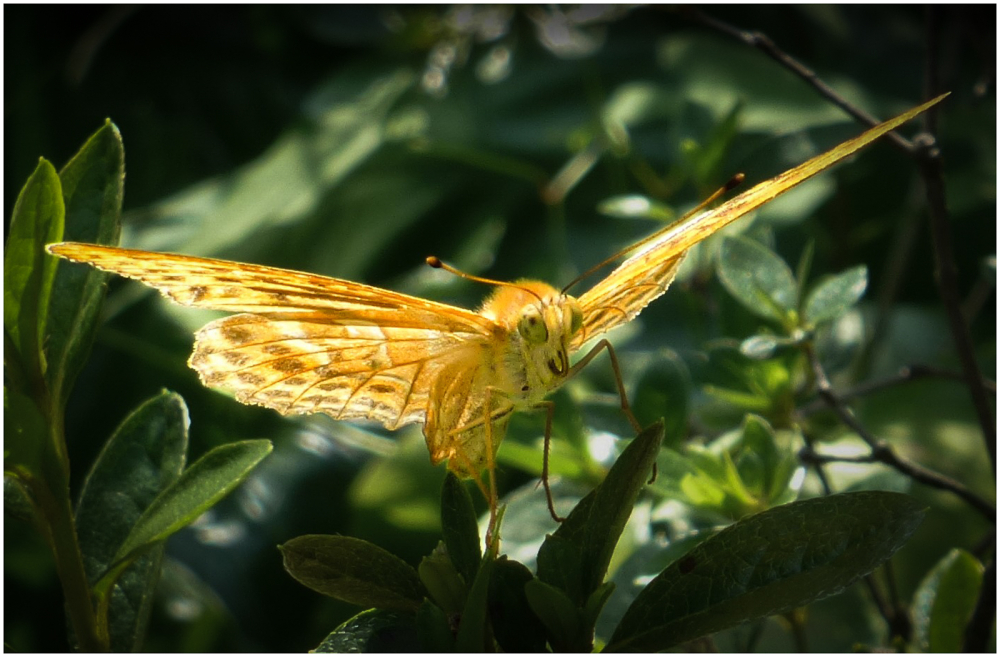 Joint 3rd Ready for take-off by Karen Gowen